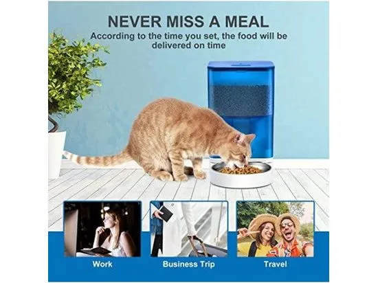 3L Show Color Meal Automatic Pet Food Feeder Pets Qatar