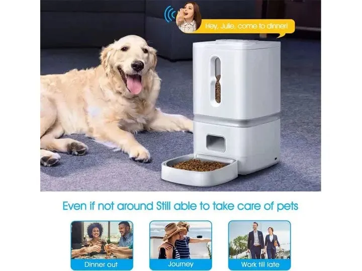 7L Large Capacity Automatic Feeder Pets Qatar