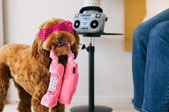 80s Classics Paw Talk