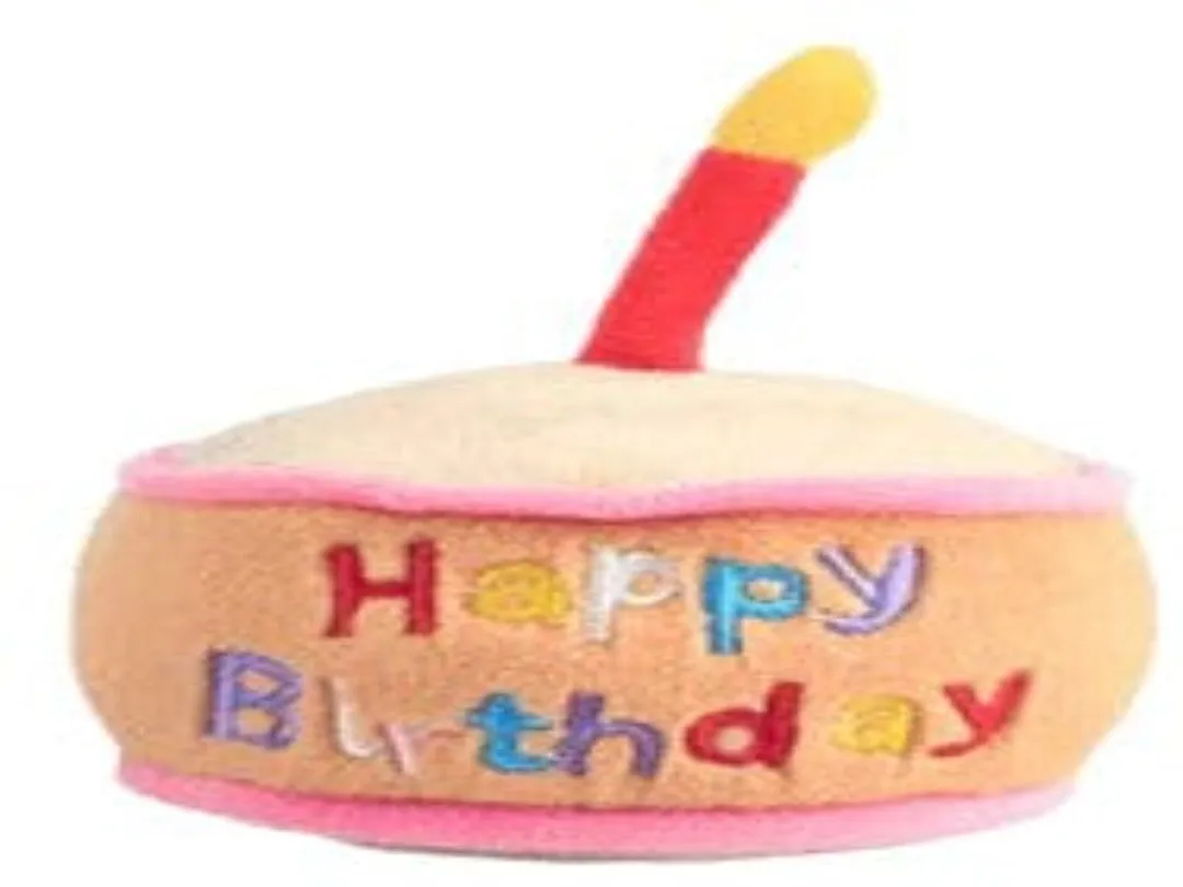AFB Birthday Treasure mix color Pets Qatar