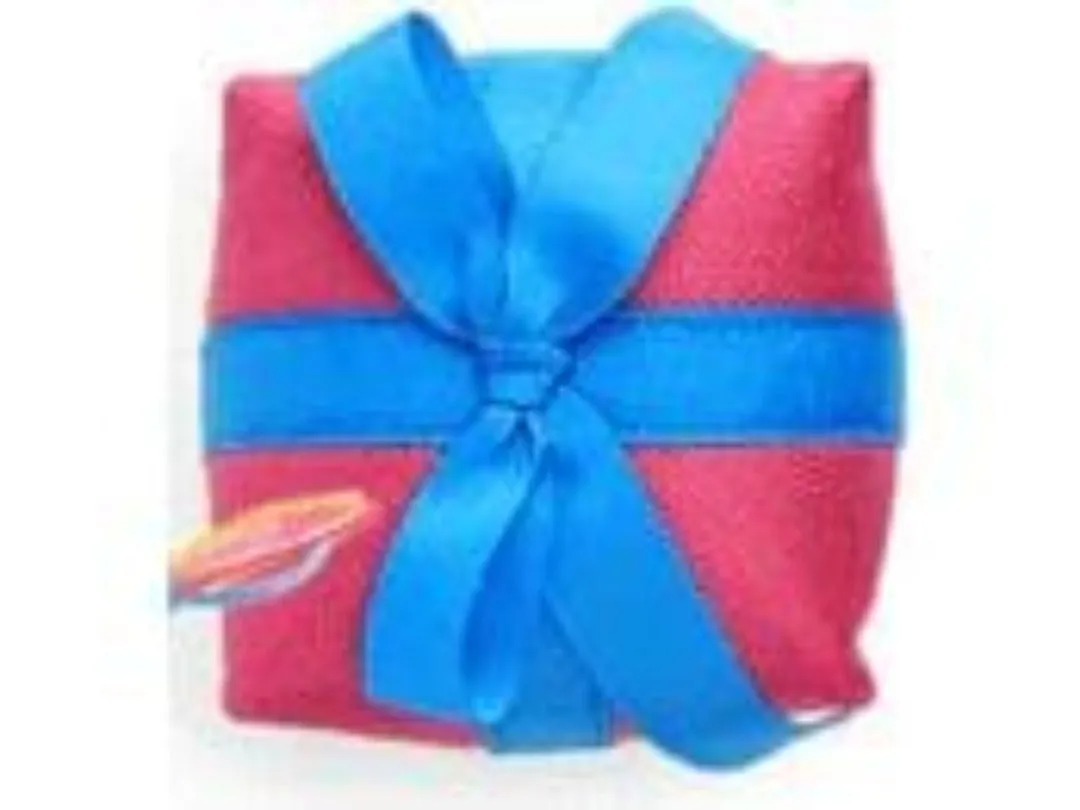 AFB Birthday Treasure mix color Pets Qatar