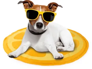 Afb Chill Out - Orange Cooling Mat Pets Qatar