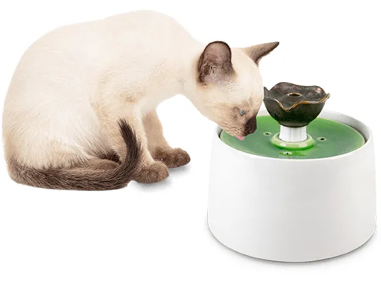 Afb Liftstyle 4 Pets - Lotus Ceramic Fountain - 2 Liters Pets Qatar
