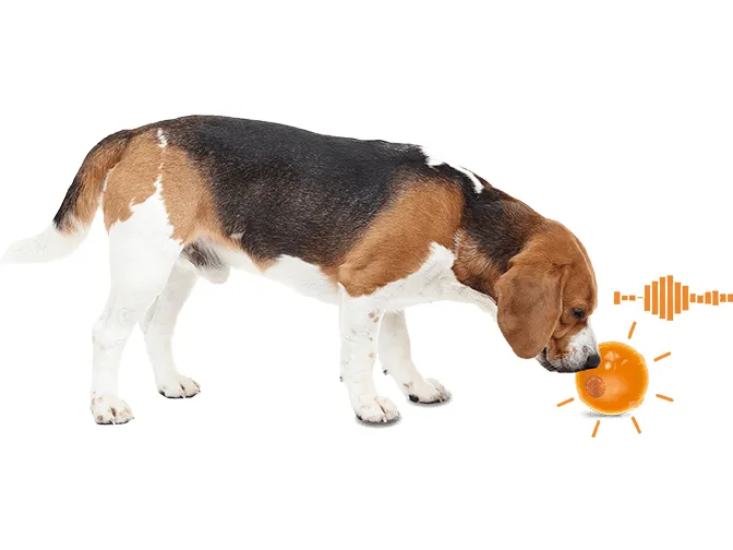 AFP Calming Pals-Anti Anxiety Speaking ball Pets Qatar