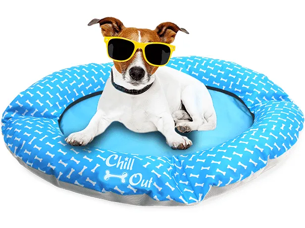 AFP Chill Out - Floating Bed Pets Qatar