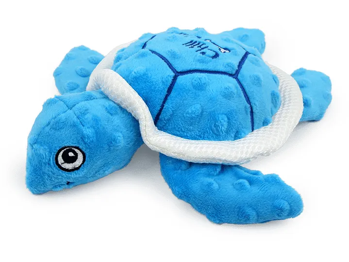 AFP Chill Out - Sea Turtle Pets Qatar
