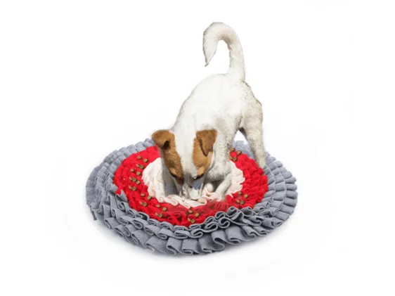 AFP Dig It-Round Fluffy Mat Pets Qatar