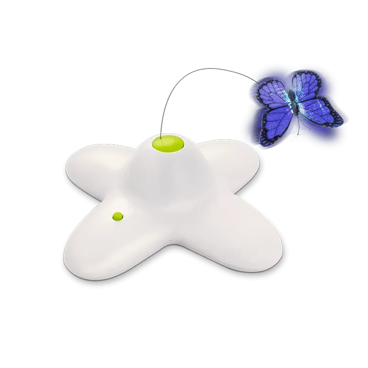 AFP Interactives - Flutter Bug Cat Toy Pets Qatar