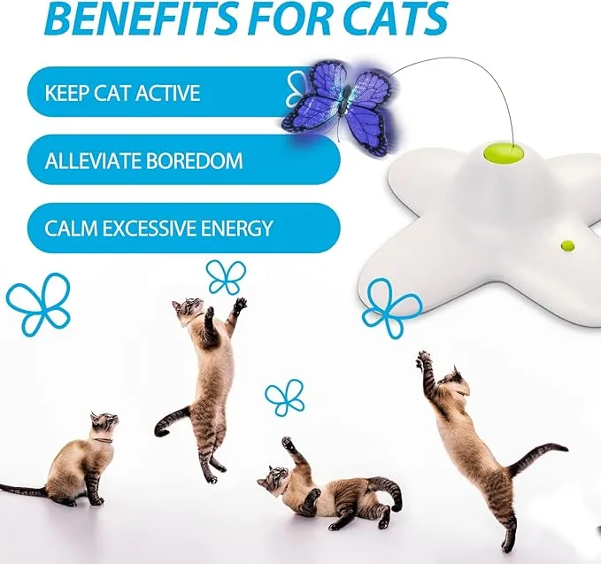 AFP Interactives - Flutter Bug Cat Toy Pets Qatar