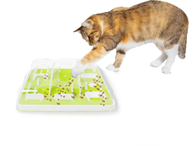 AFP Interactives-Puzzle Cat Feeder Pets Qatar