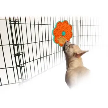 AFP Lick‘A’Disk Pets Qatar