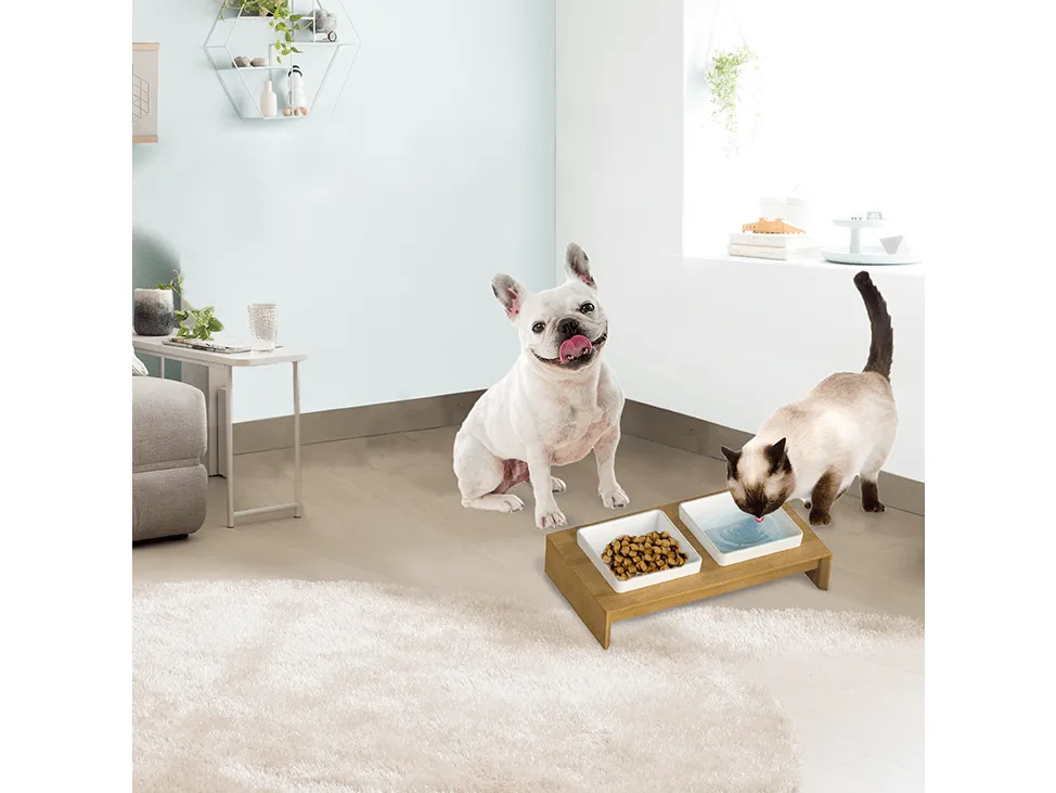 AFP Liftstyle4Pets - Double Dinner Pets Qatar