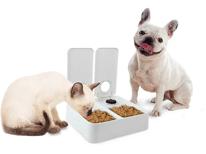 AFP Liftstyle4Pets - Double timer feeder Pets Qatar