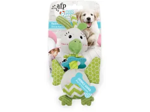 AFP Little Buddy-Kookoo Bird Pets Qatar