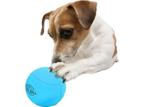 AFP Meta Ball - Bounce & Rattle Ball Pets Qatar