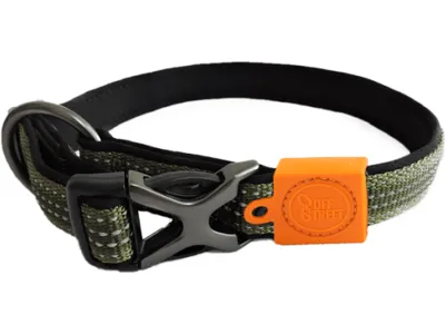 AFP Off Street - Dog Collar Olive Green Pets Qatar