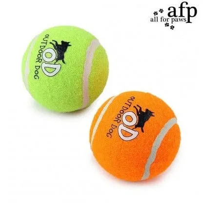 AFP Outdoor - Mini Squeaking Tennis Ball 4 pk Pets Qatar