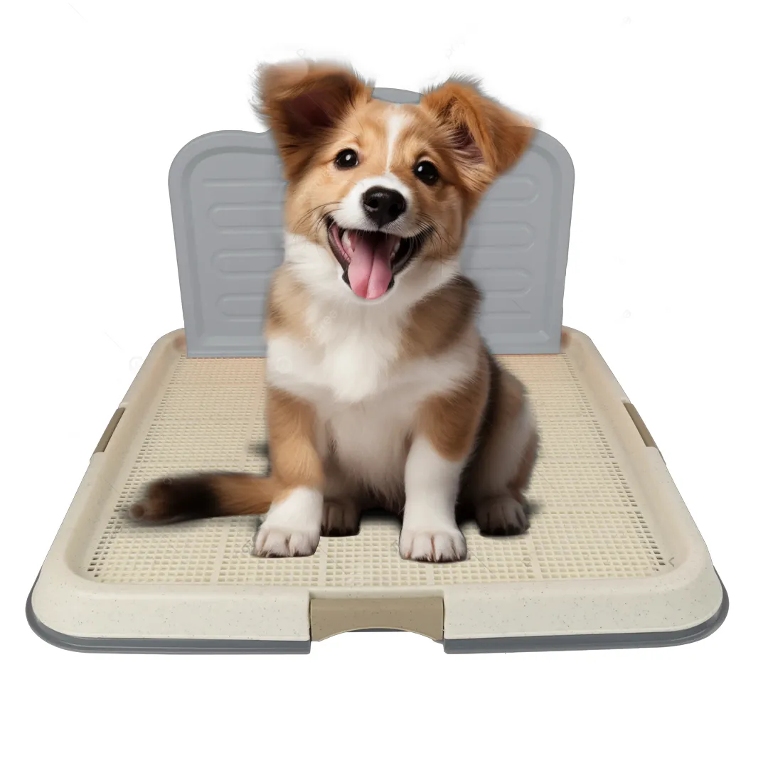 AFP Pee  Pad Holder With Wall Pets Qatar