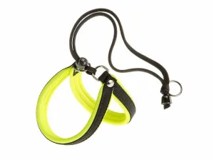 Agila Fluo 1 Yellow Bib Pets Qatar