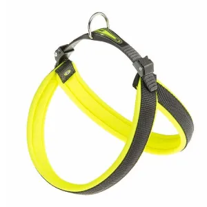 AGILA FLUO 4 YELLOW HARNESS Pets Qatar