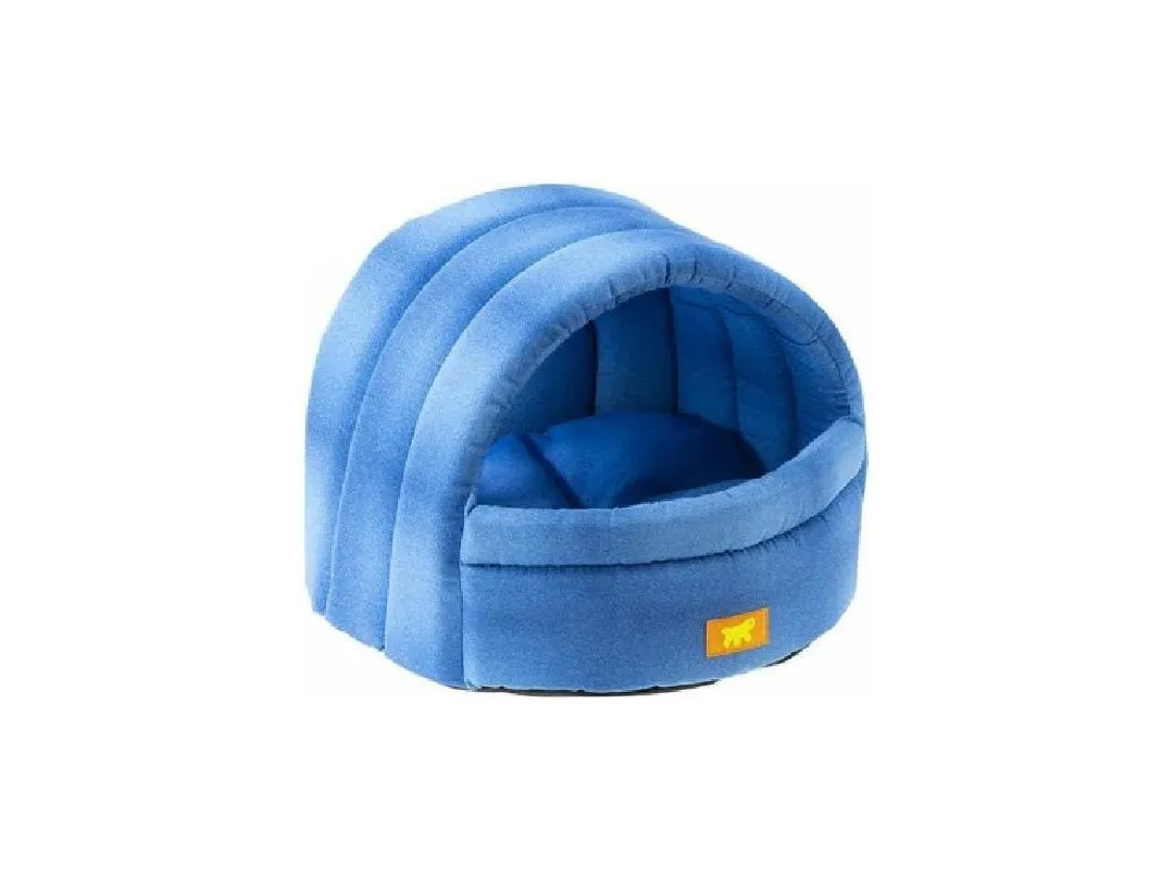 Alveo 35 Cas. Teddy-Fox Pets Qatar