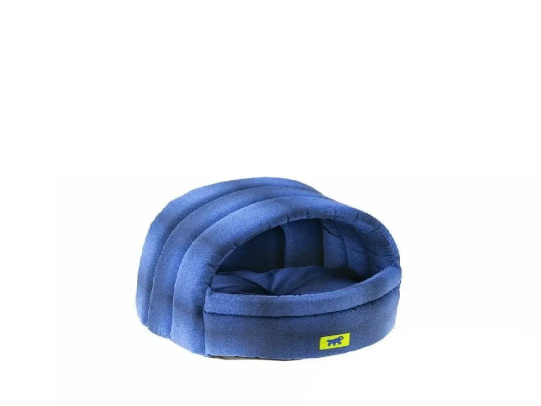 Alveo 35 Cas. Teddy-Fox Pets Qatar