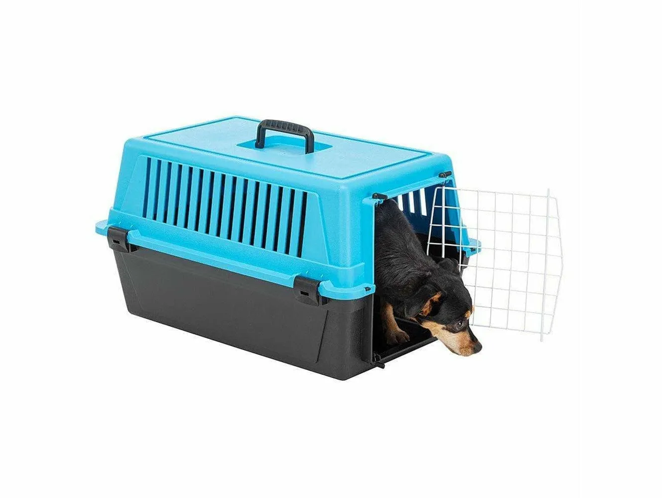 Atlas 20 El Trasportino Pb Pets Qatar