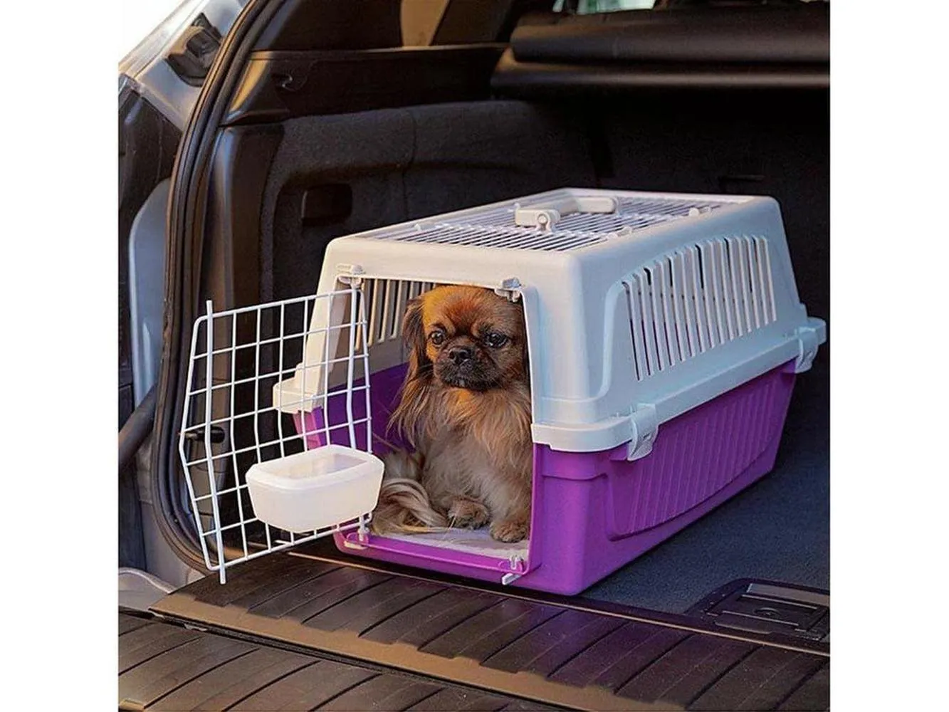 Atlas 30 Open Top Carrier Pets Qatar
