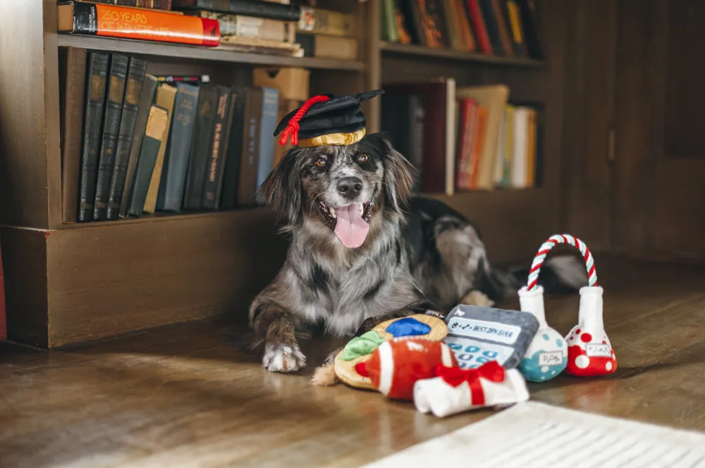 Back to School Collection