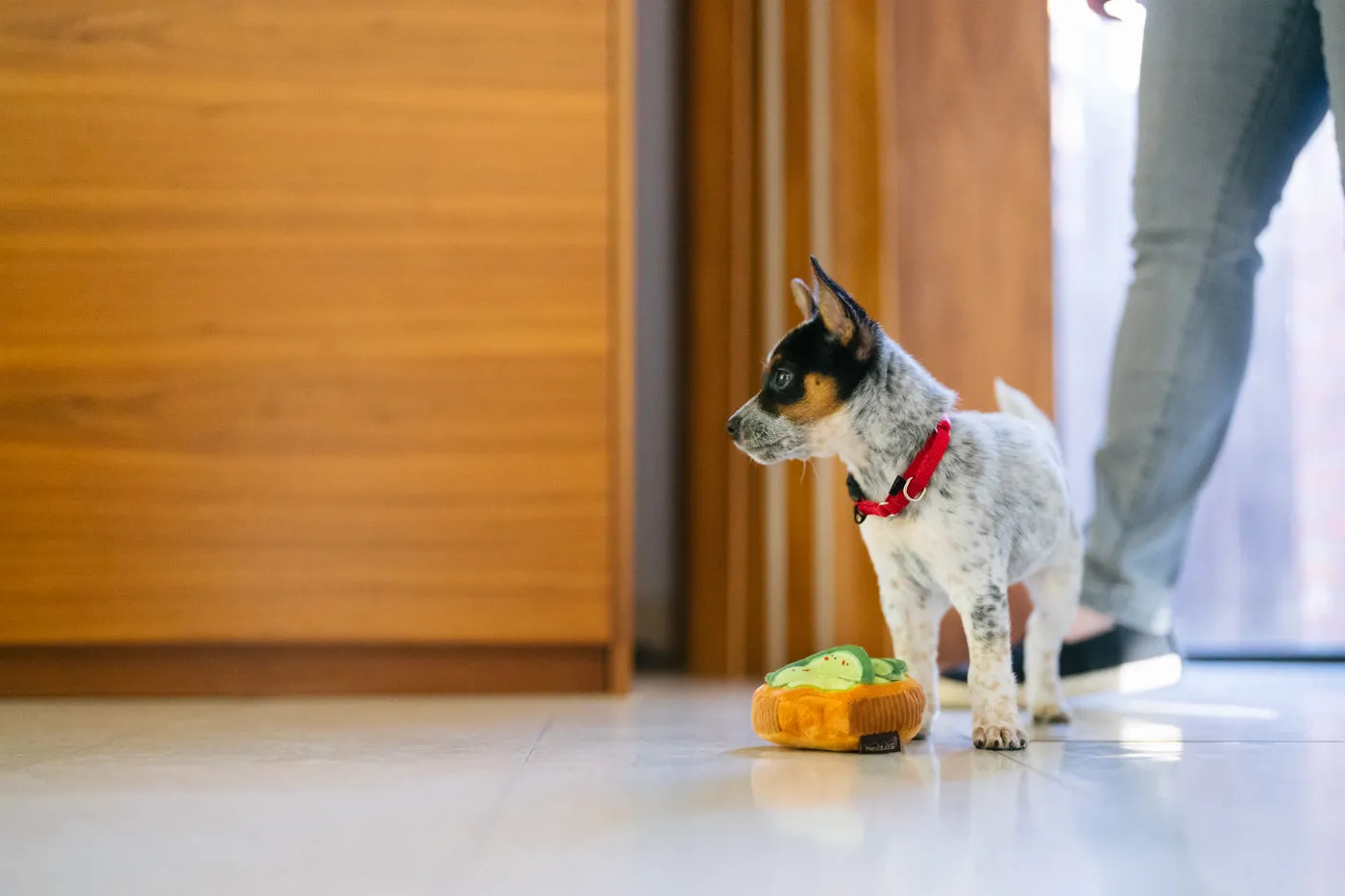 Barking Brunch Avo-doggo Toast