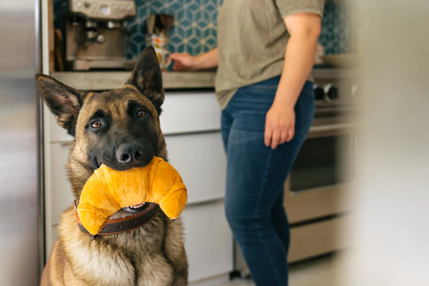 Barking Brunch Pup's Pastry
