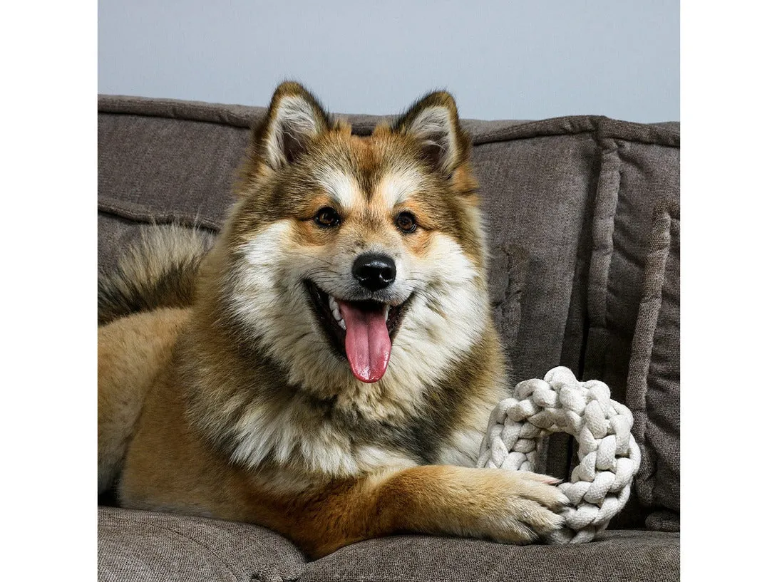 Ben Braided Ring Xs - 13Cm - Ø 10Mm Beige Pets Qatar