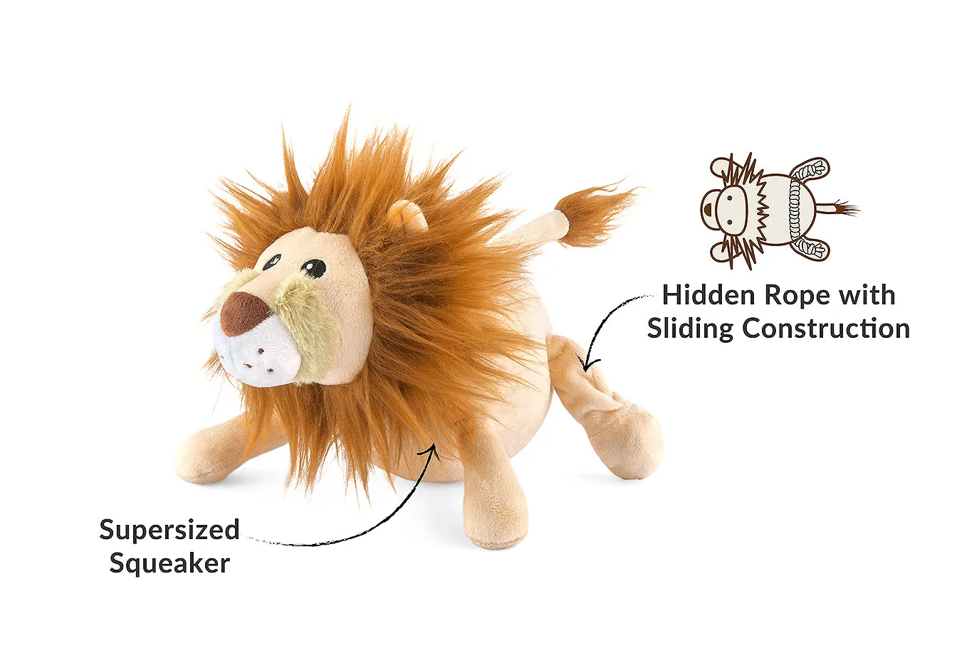 Big Five of Africa Lion