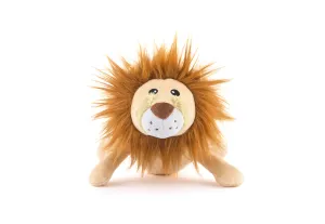 Big Five of Africa Lion