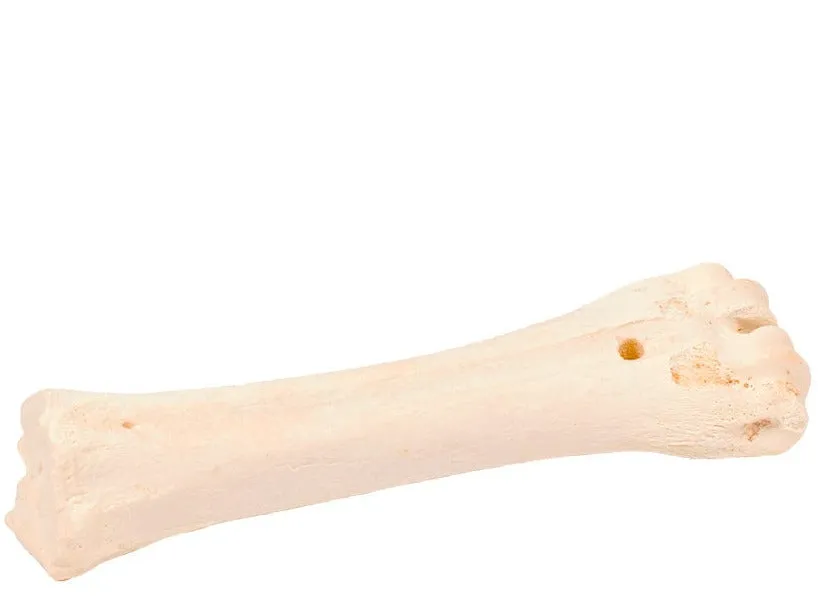 Bone! Beef Bone Calcium Pets Qatar