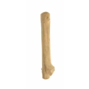 Bone Java Medium Pets Qatar