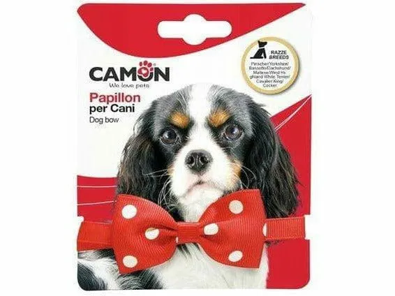 Bow tie - Selection B Pets Qatar