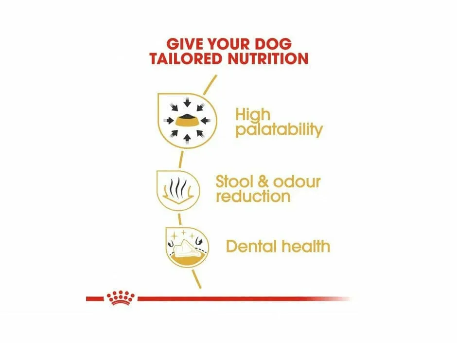 Breed Health Nutrition Chihuahua Adult 1.5 KG Pets Qatar