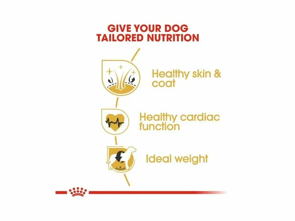 Breed Health Nutrition Golden Retriever Adult 12 KG Pets Qatar
