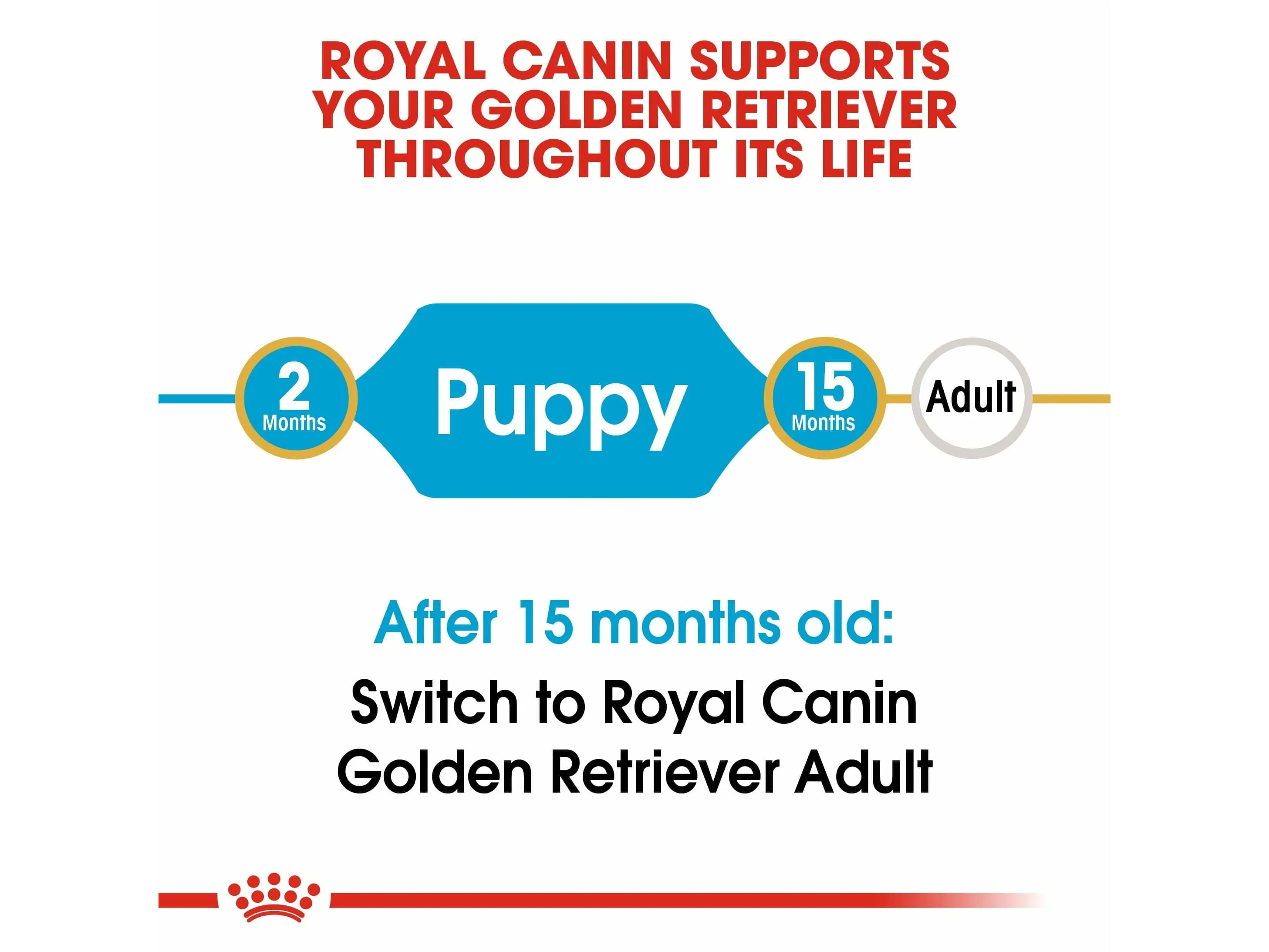 Breed Health Nutrition Golden Retriever Puppy 12 Kg Pets Qatar