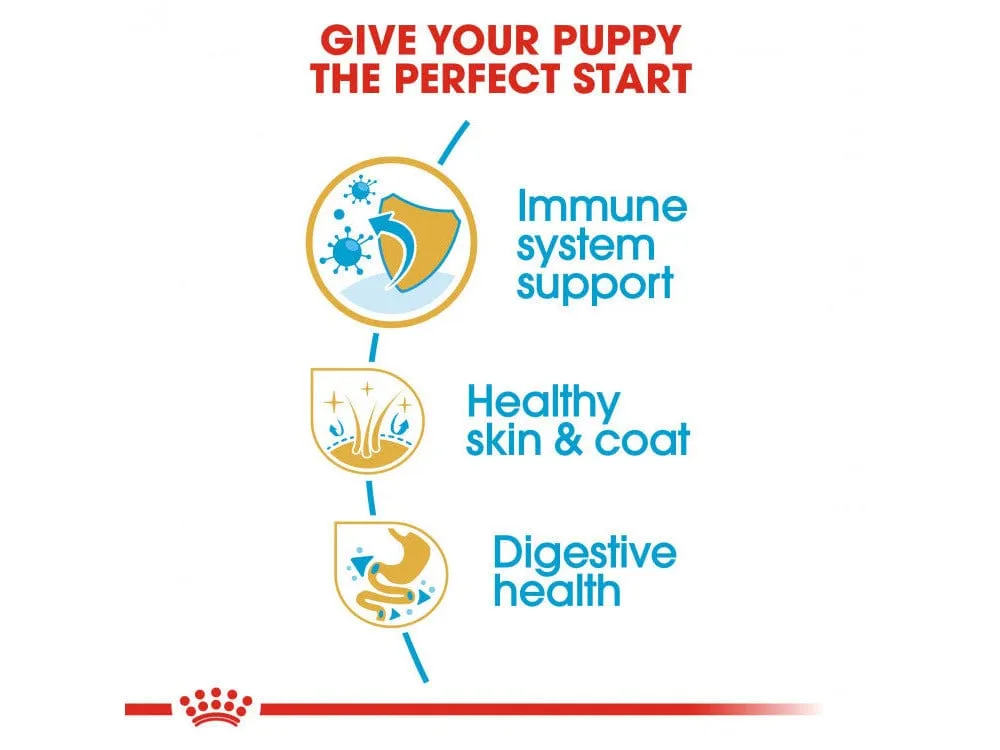 Breed Health Nutrition Shih Tzu Puppy 1.5 KG Pets Qatar