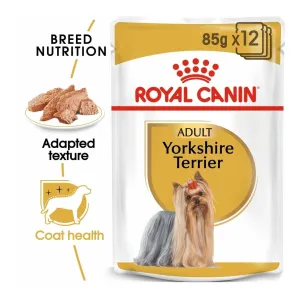 Breed Health Nutrition Yorkshire Adult (Wet Food 1X85 G) Pets Qatar