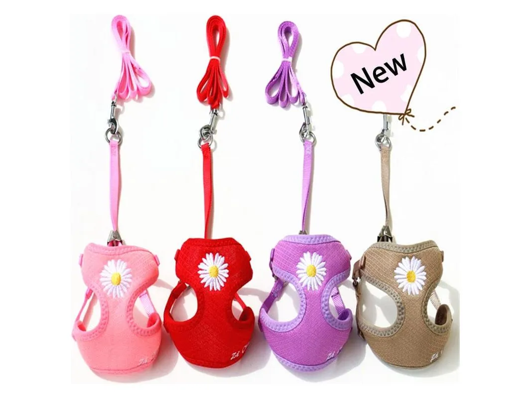 Candy Color Embroidered Pheasant Chrysanthemum Net Pulling Chest Pets Qatar