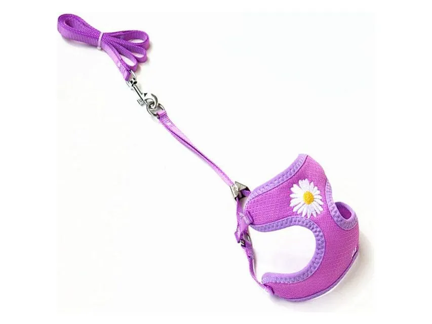 Candy Color Embroidered Pheasant Chrysanthemum Net Pulling Chest Pets Qatar