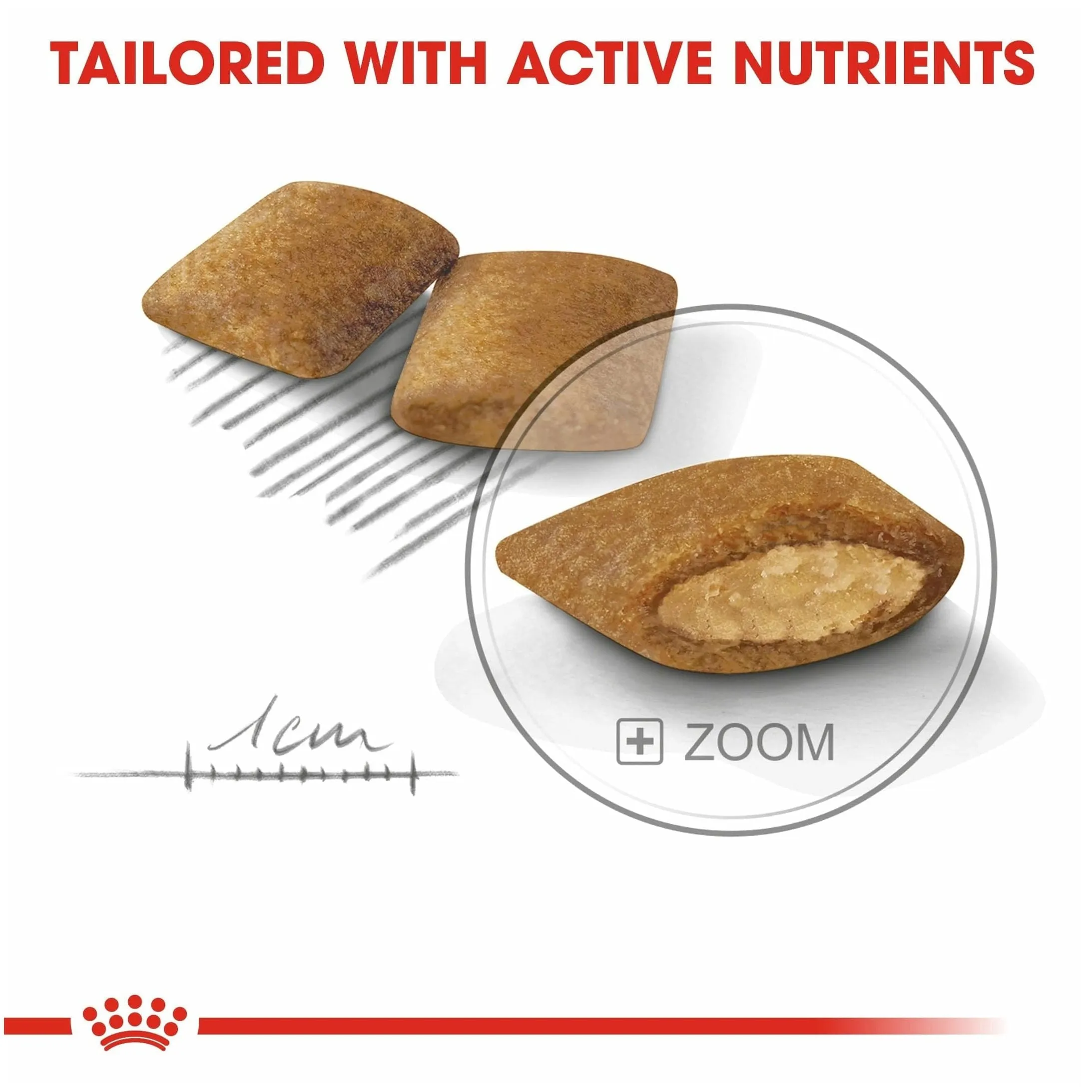Canine Care Nutrition Mini Exigent 3 KG Pets Qatar