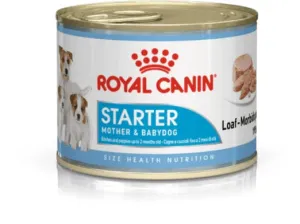 Canine health nutrition started mousse -195G Pets Qatar