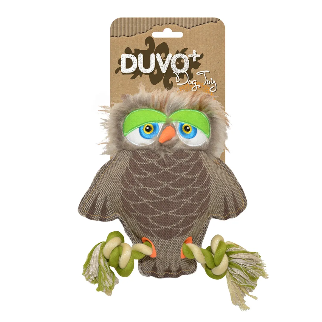 Canvas Owl 20x18cm Pets Qatar