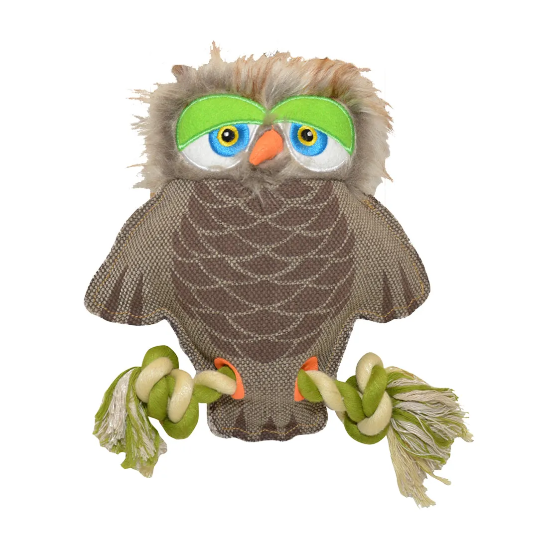 Canvas Owl 20x18cm Pets Qatar
