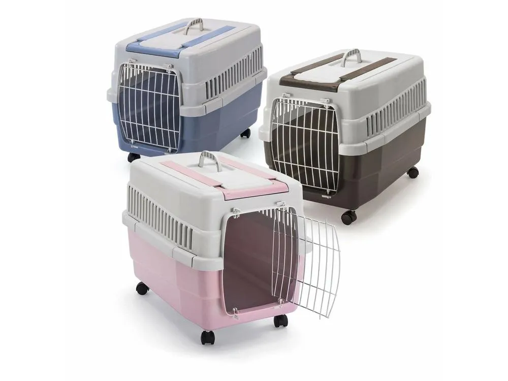 Carrier Kim 60 Mix Color Pets Qatar