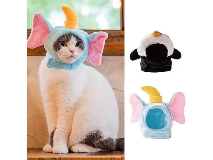 Cat Hat Penguin Pets Qatar